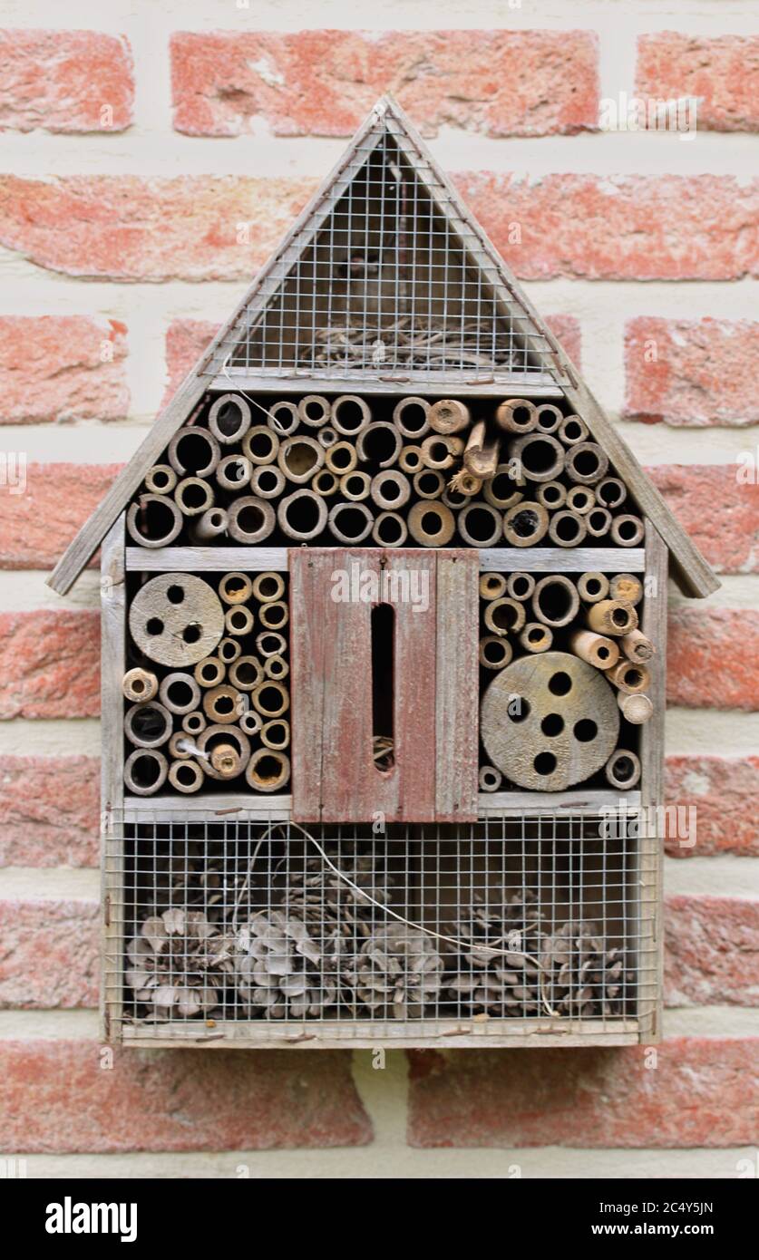 Wooden insect hotel hanging on a bick wall to provide shelter for little wild bugs Stock Photo