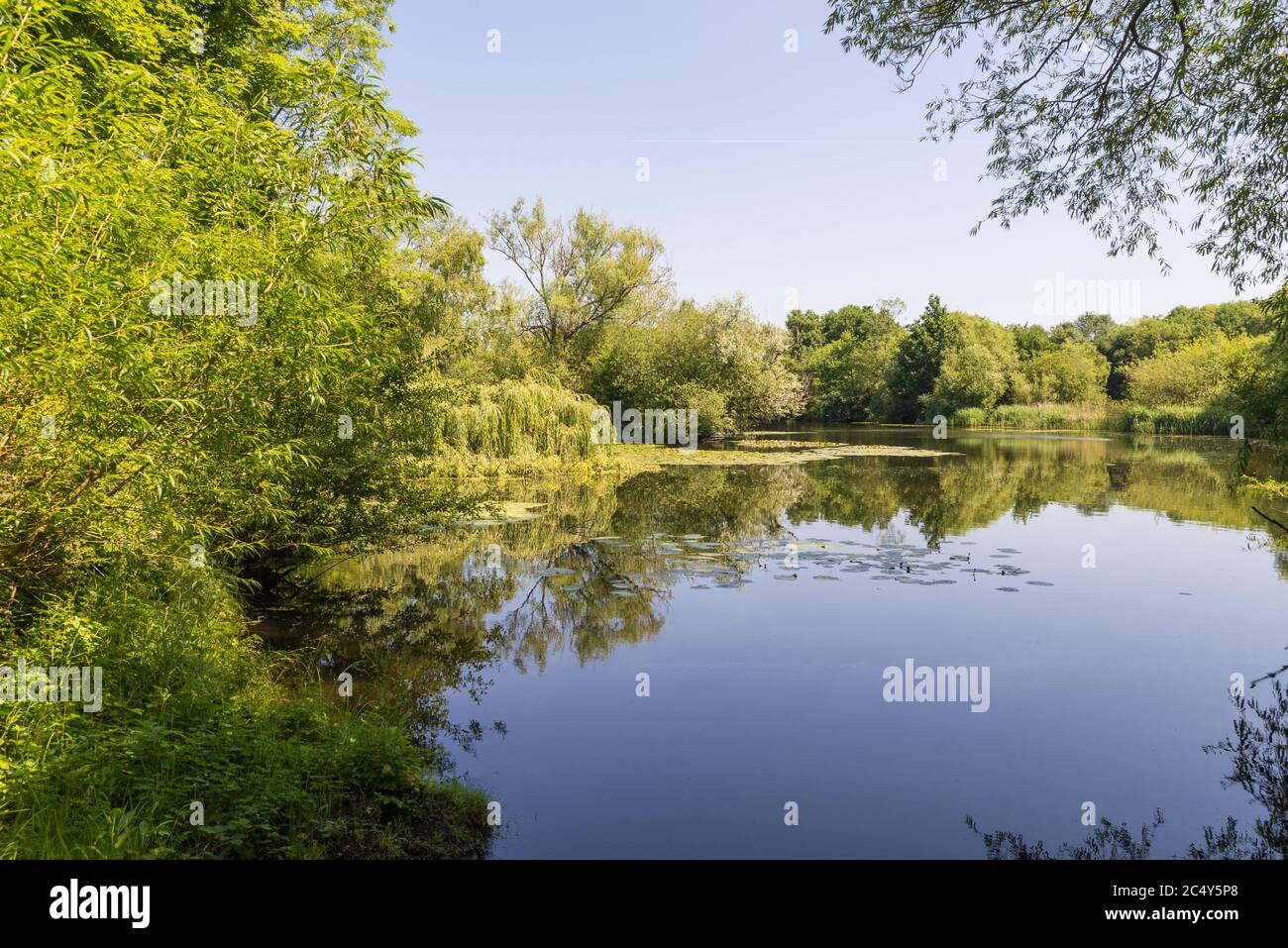 Gibson's Pool at Kingsbury Water Park, a 600 acre country park in North Warwickshire, UK Stock Photo
