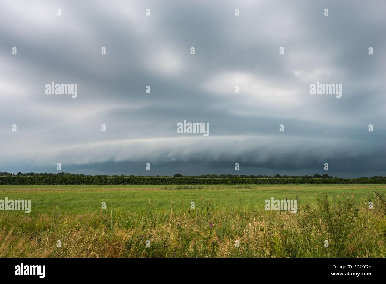 Approaching thunderstorm with arcus (shelf cloud) over plain landscape Stock Photo