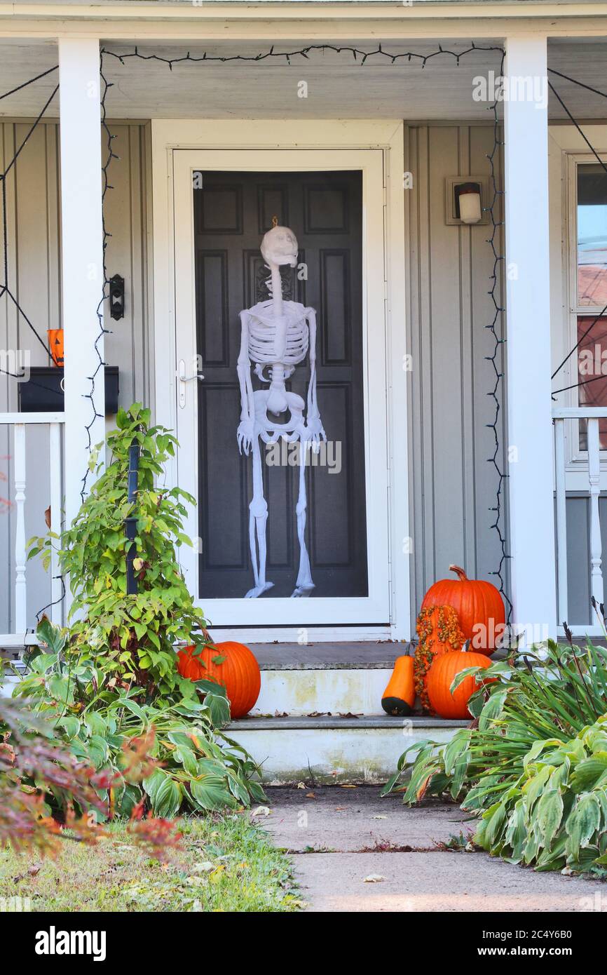 Private house front door with fake skeleton and stair with bright pumpkins decorated for an old american trick-or-treat Halloween tradition. Vertical Stock Photo