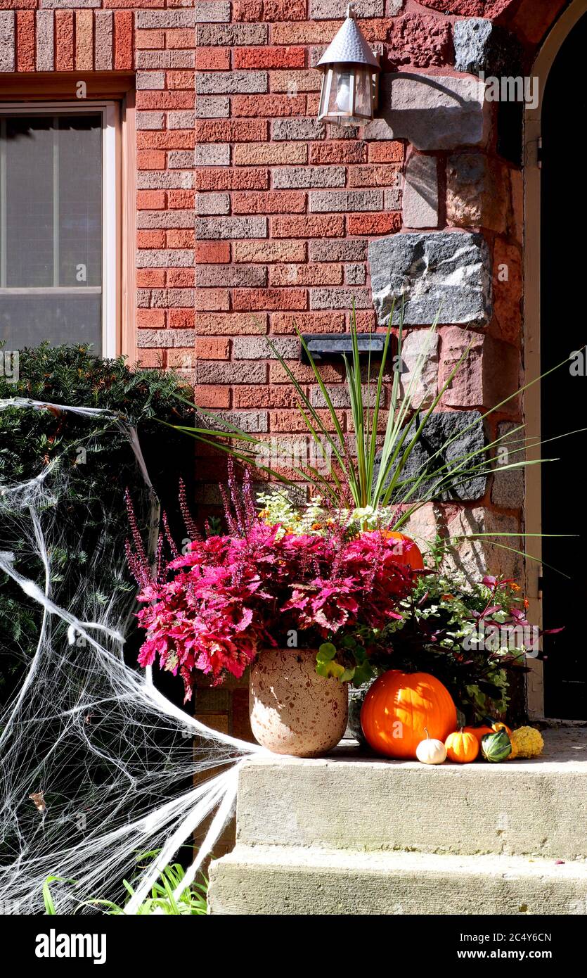 Main entrance stair of the old style brick house decorated for autumn holidays season. Stock Photo