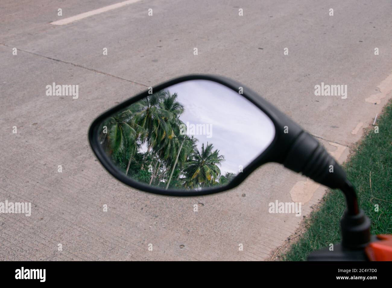 A parked scooter reflects tall, roadside palm trees in its side mirror Stock Photo