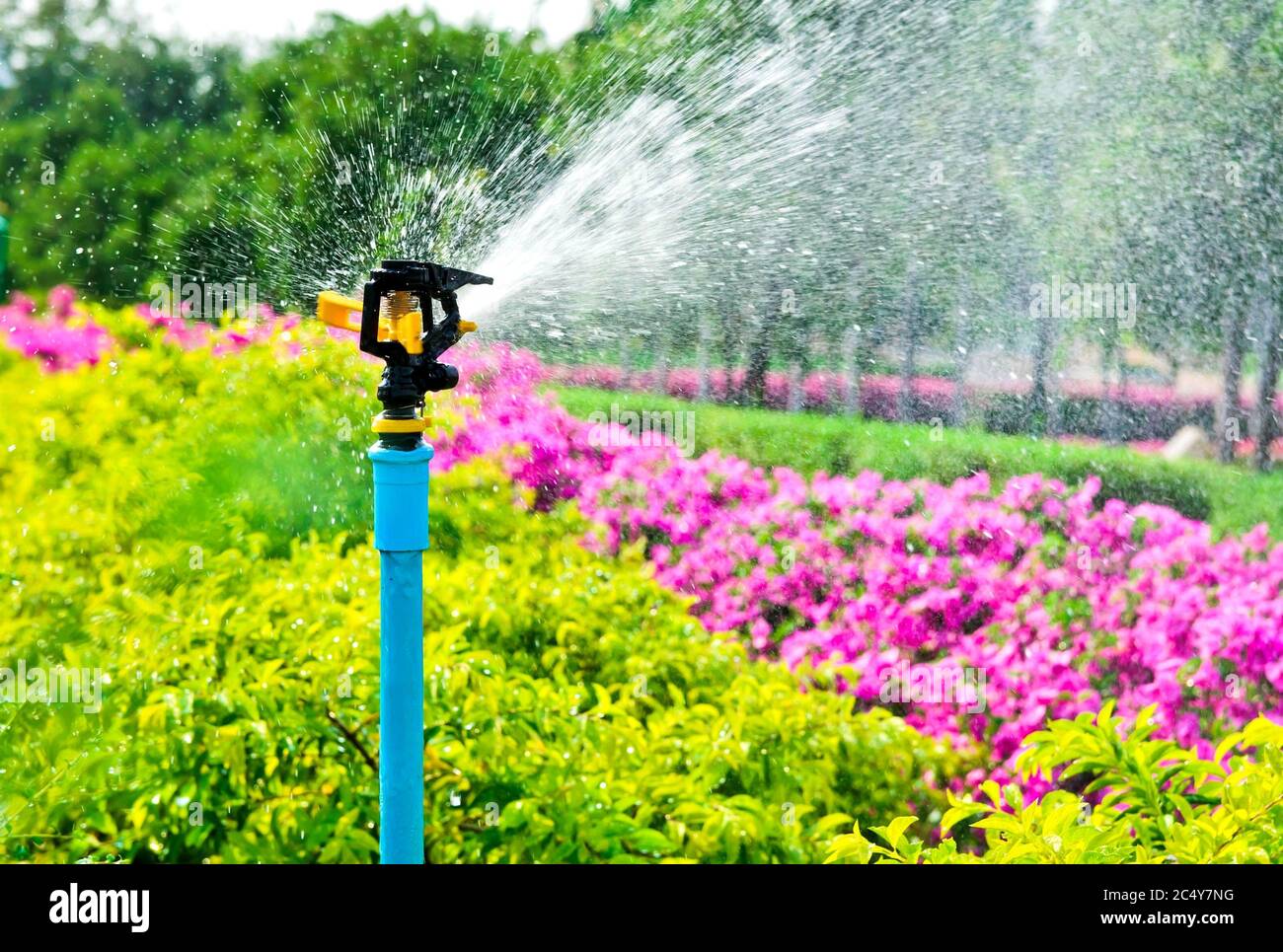 Garden irrigation system watering lawn Stock Photo - Alamy