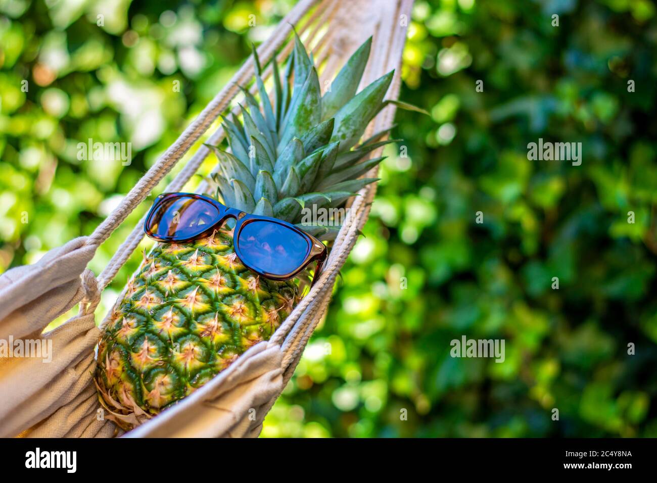 Pineapple with sunglasses relaxing in hammock. Concept of leisure, summer vibes and vacation. Green leaves vegetation foliage in background Stock Photo