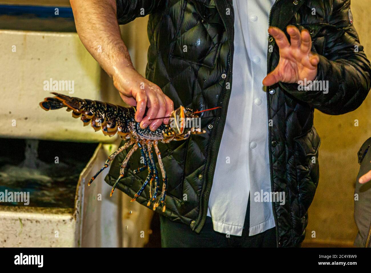 Food Tour with Michelin Star Chef Loic Le Bail at the seafood wholesale Béganton Gaby SA in Morlaix-Roscoff, France Stock Photo