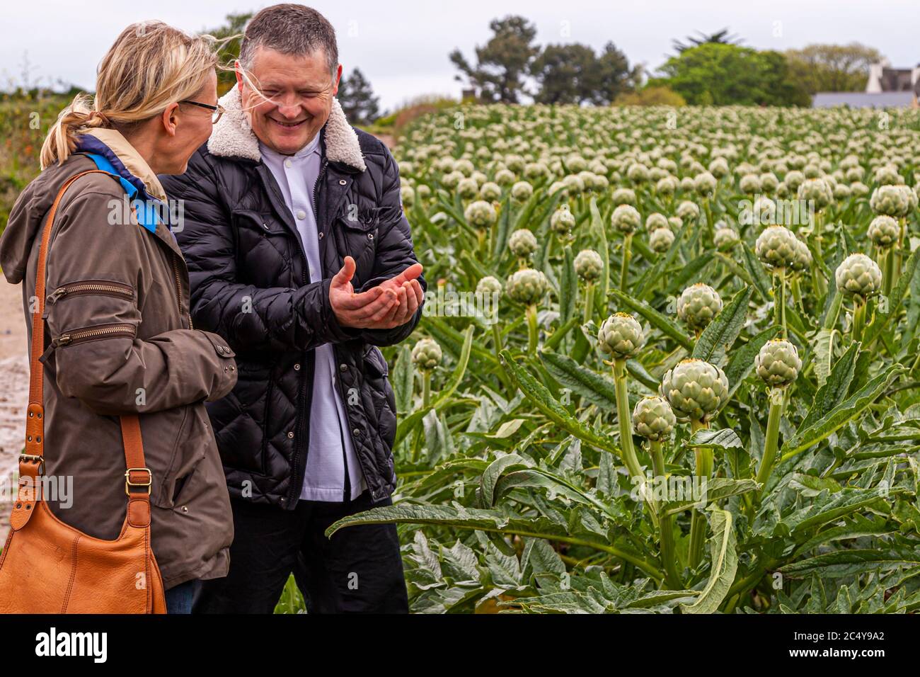 Star chef Loïc Le Bail leads journalist Angela Berg into the artichoke field. Food Tour with Michelin Star Chef Loic Le Bail in Morlaix, France Stock Photo