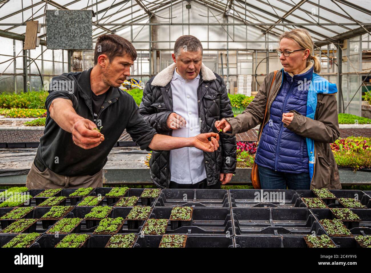 Patrice Mallegol invites Loïc Le Bail and Angela Berg to a herb tasting. Food Tour with Michelin Star Chef Loic Le Bail in Morlaix, France Stock Photo