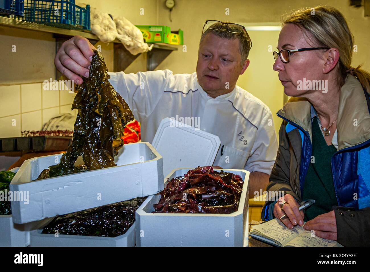 Each type of seaweed has its special use in the kitchen of star chef Loïc Le Bail. Food Tour with Michelin Star Chef Loic Le Bail in Morlaix, France Stock Photo