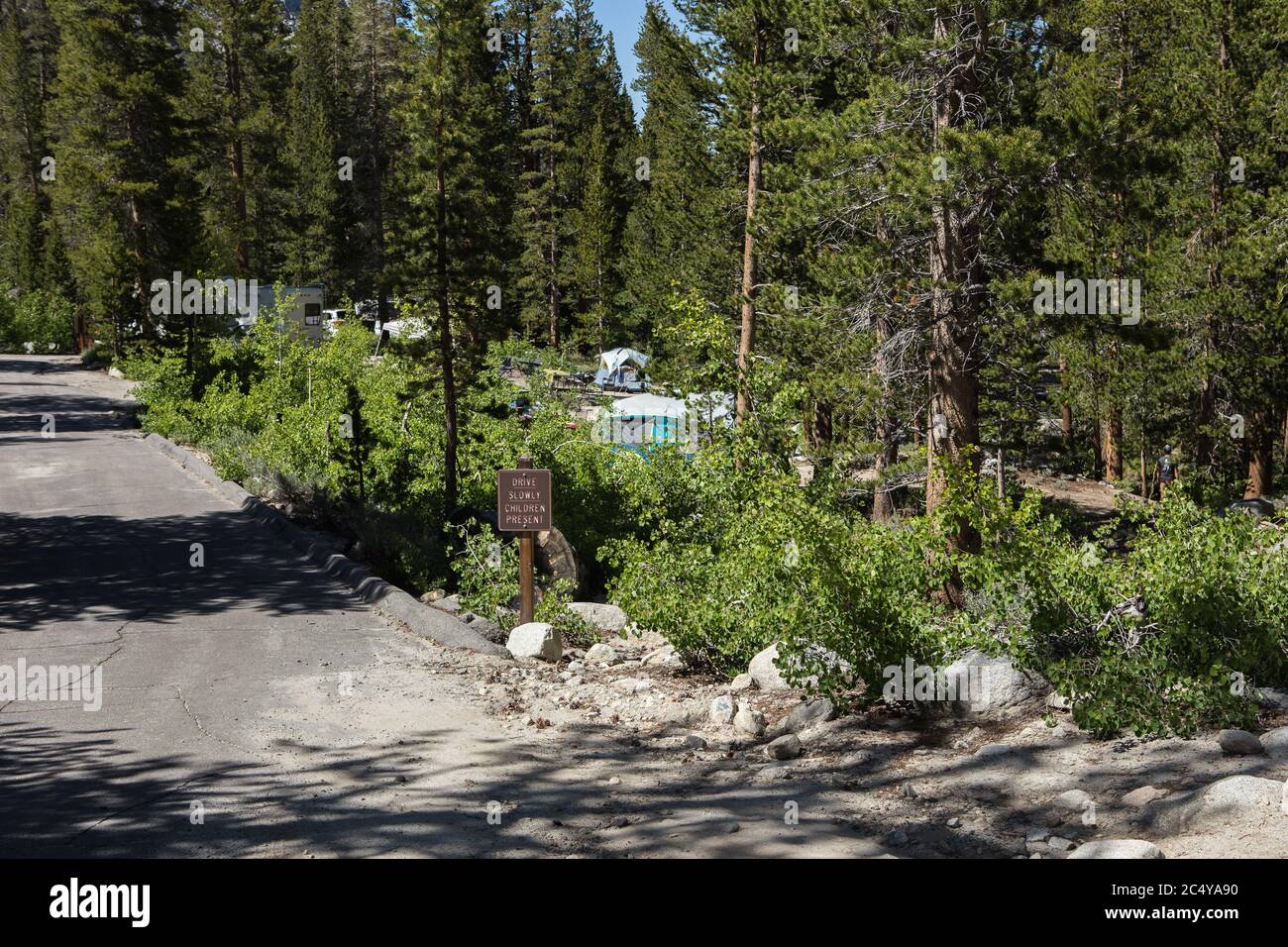 A family camping tent site in the east fork campground Eastern Sierra