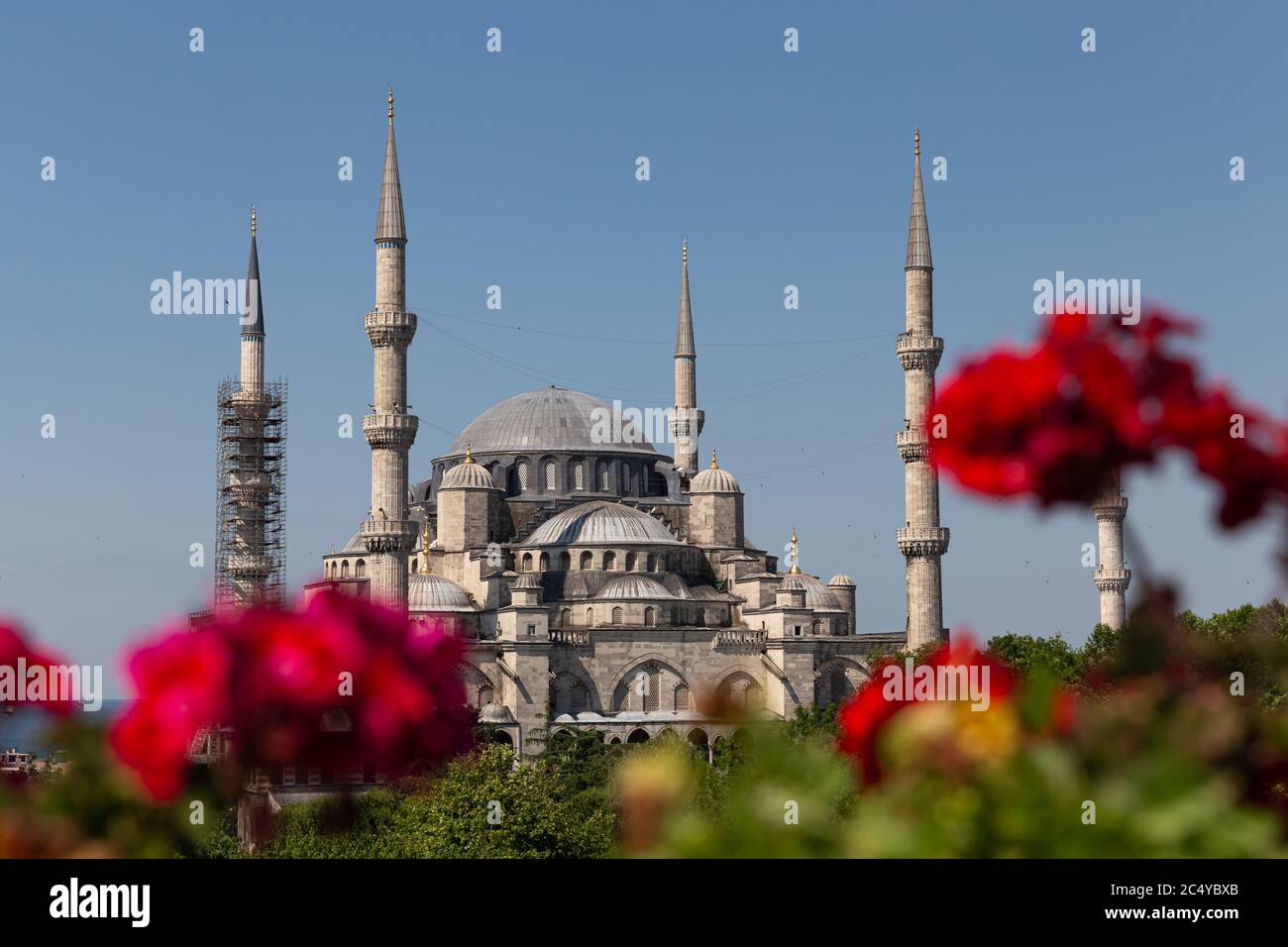 Sultanahmet Blue Mosque in Sultanahmet, Istanbul City, Turkey Stock ...