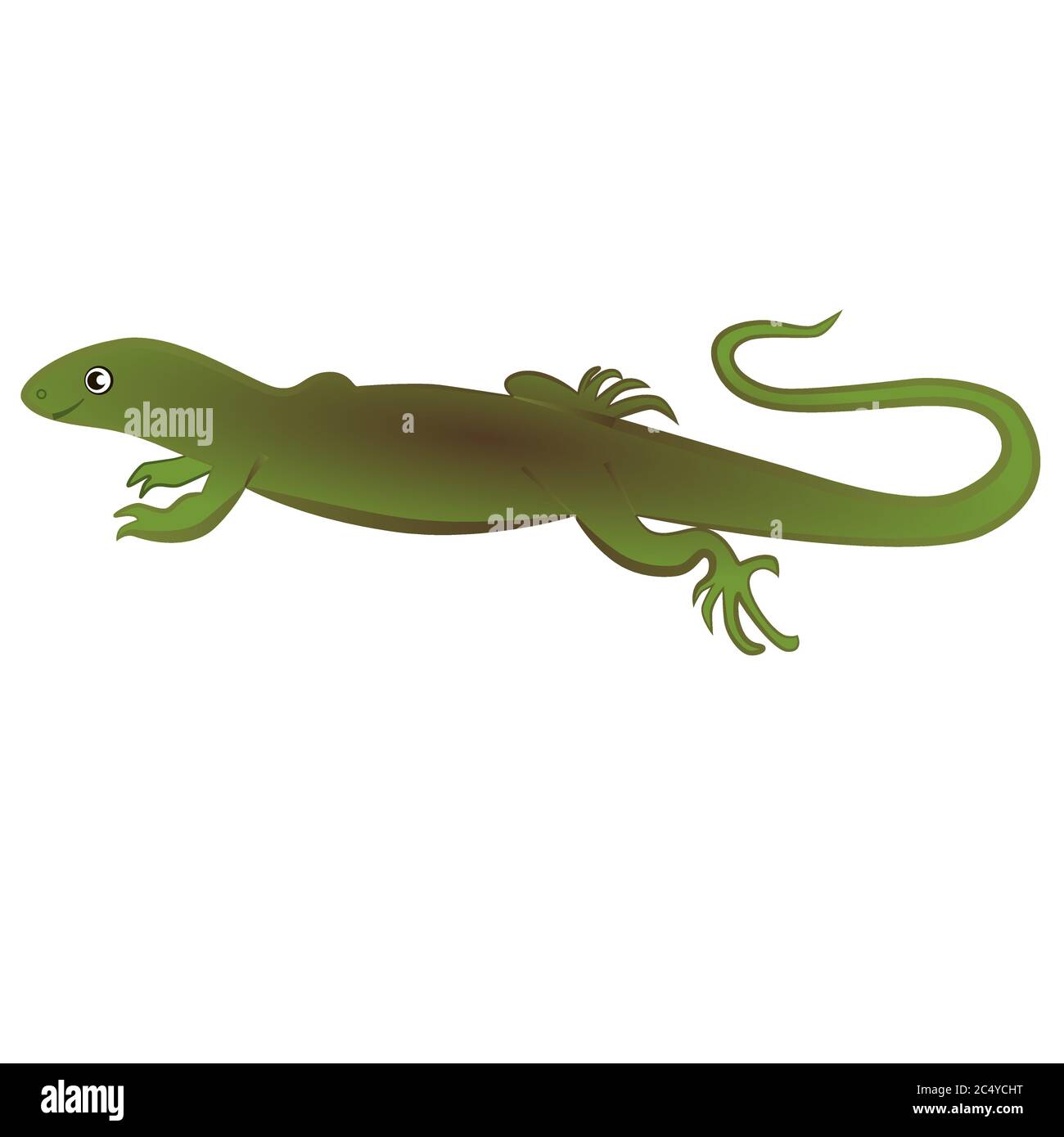 Green lizard isolated Stock Vector Images - Alamy