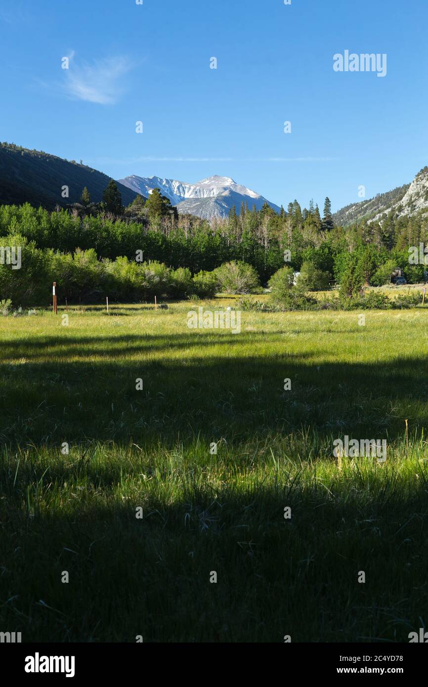Iris Meadow campground on Rock creek in the Eastern Sierra Nevada Mountains , California, USA Stock Photo