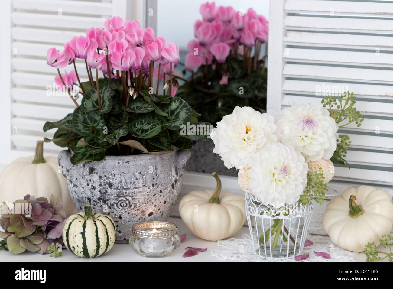 vintage decoration with bouquet of white dahlia flowers, pumpkins and cyclamen Stock Photo