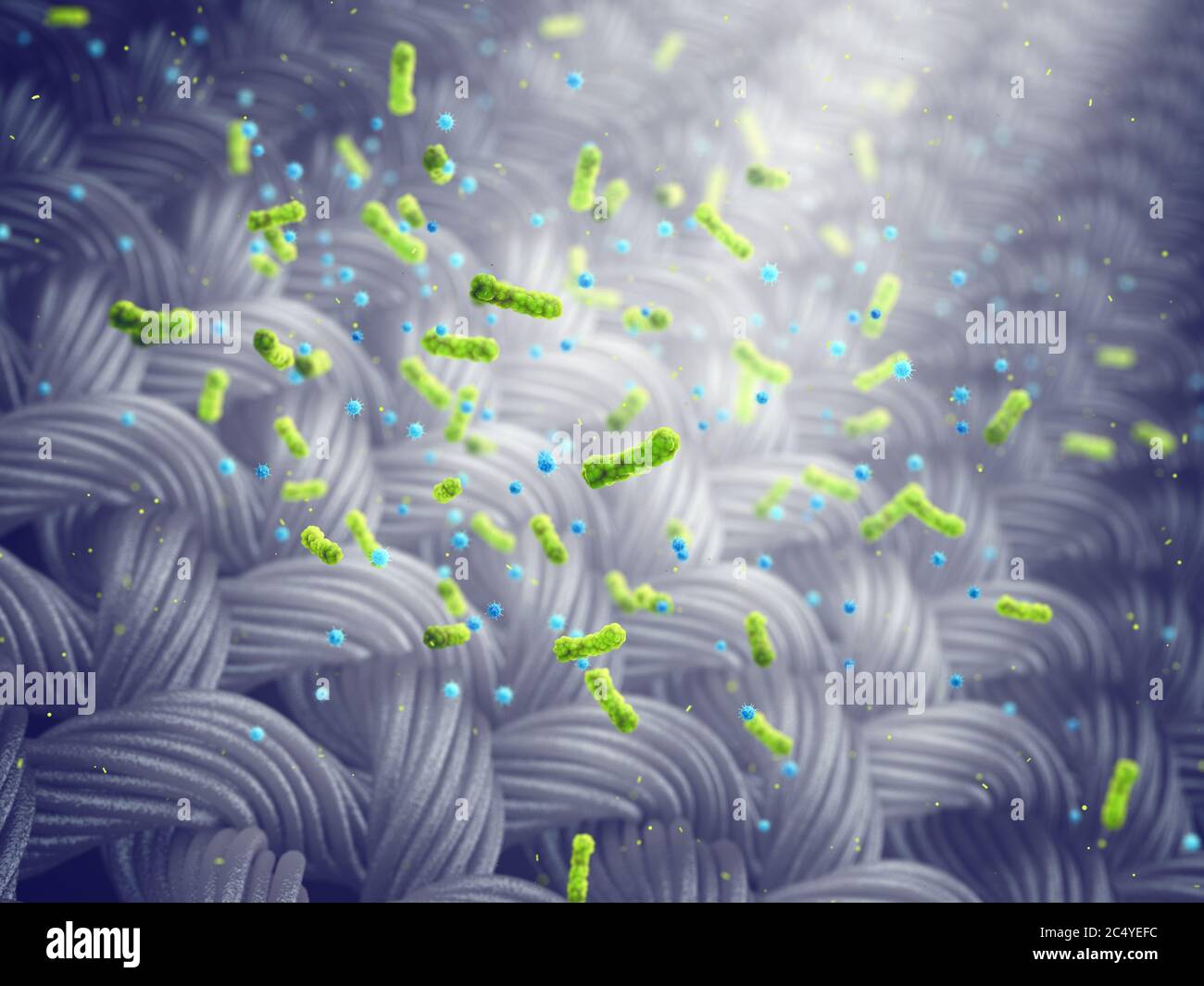 Pathogenic germs on dirty fabric, Spreading infectious disease by contaminated clothes Stock Photo