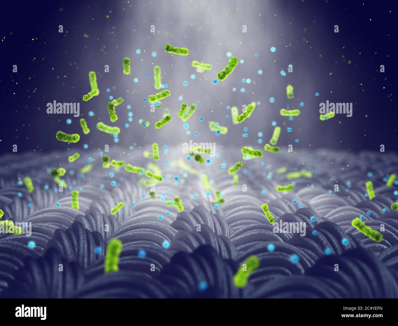 Bacterial spread hires stock photography and images Alamy
