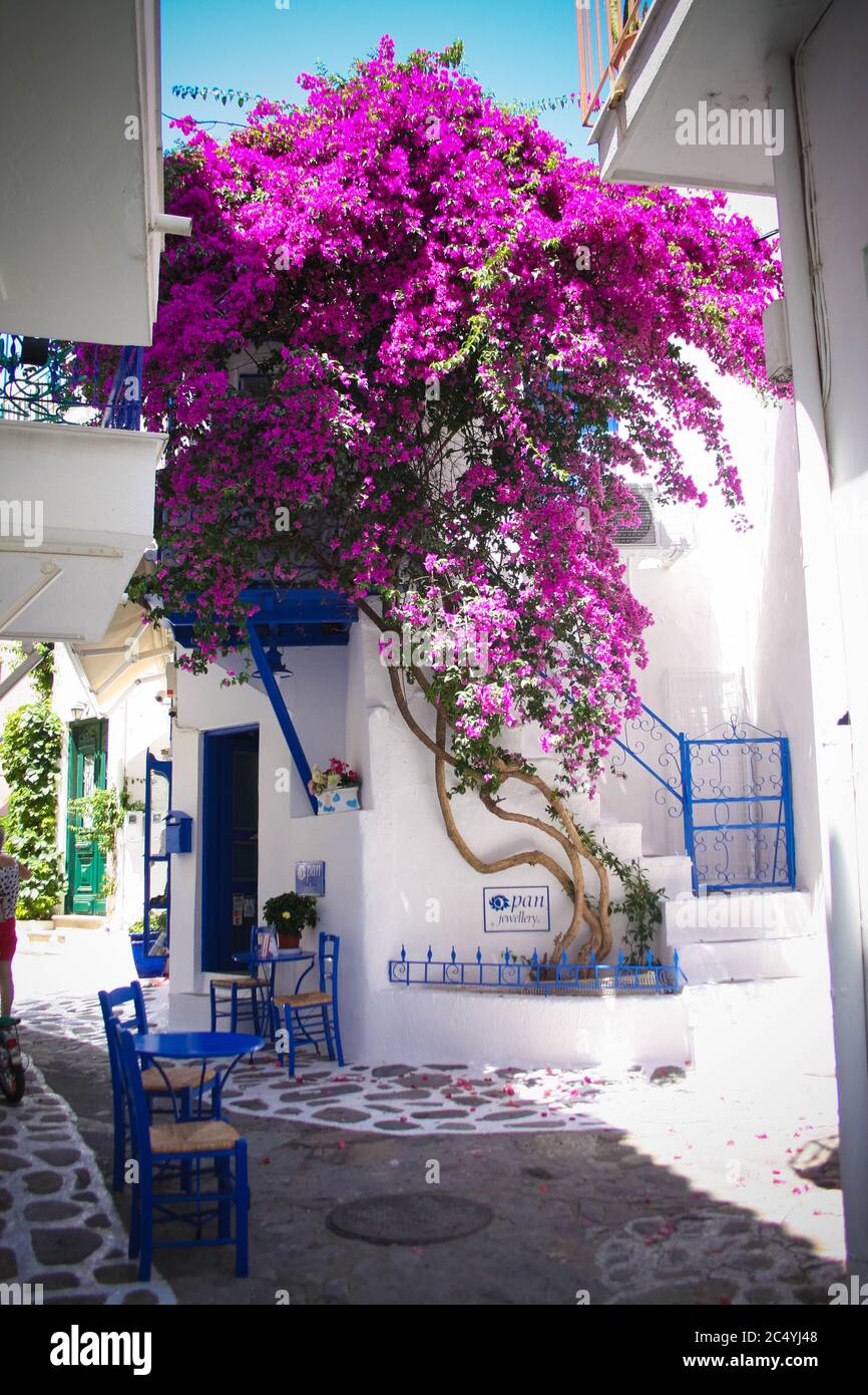 Streets of Skiathos, Greece Stock Photo