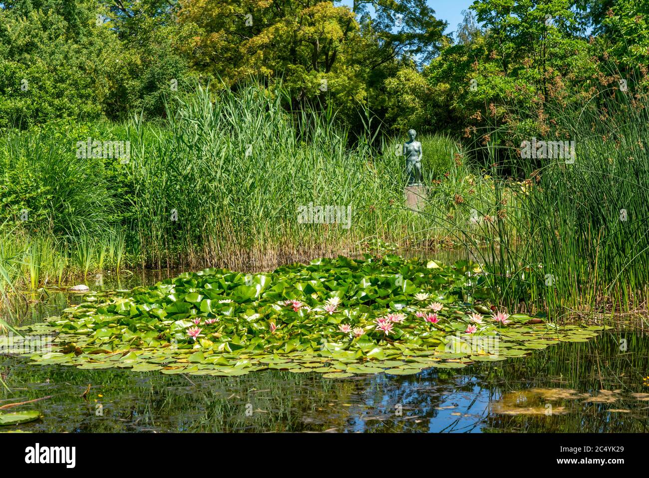 The Grugapark, Essen, botanical garden, park for leisure and local