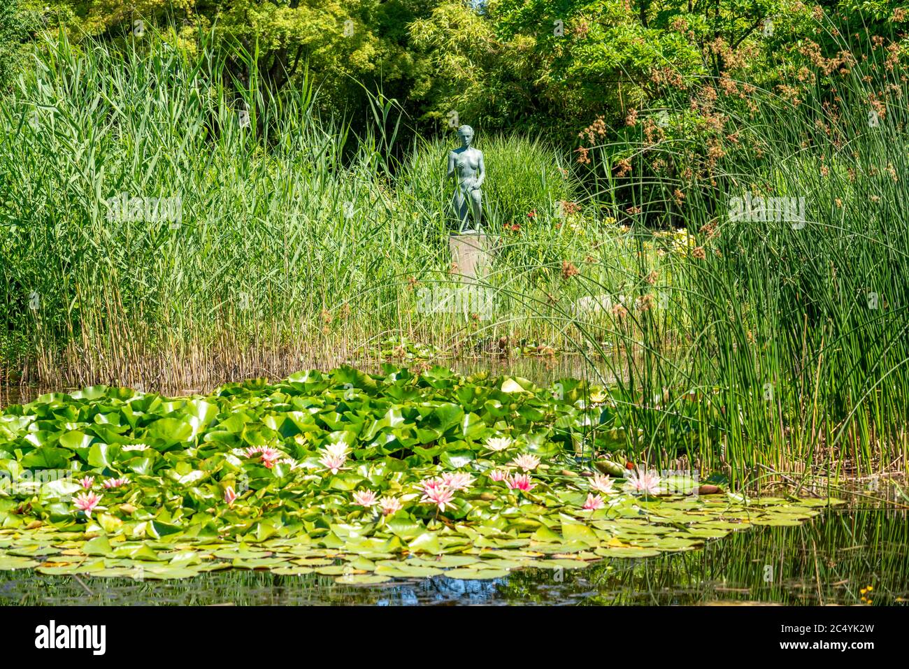 The Grugapark, Essen, botanical garden, park for leisure and local