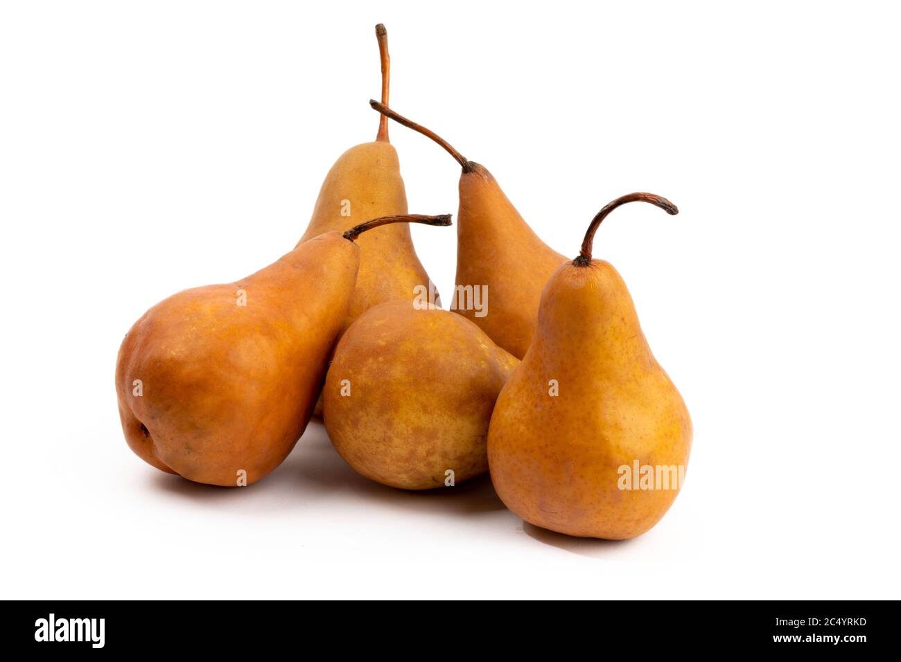 a group of Bosc pears isolated on white Stock Photo