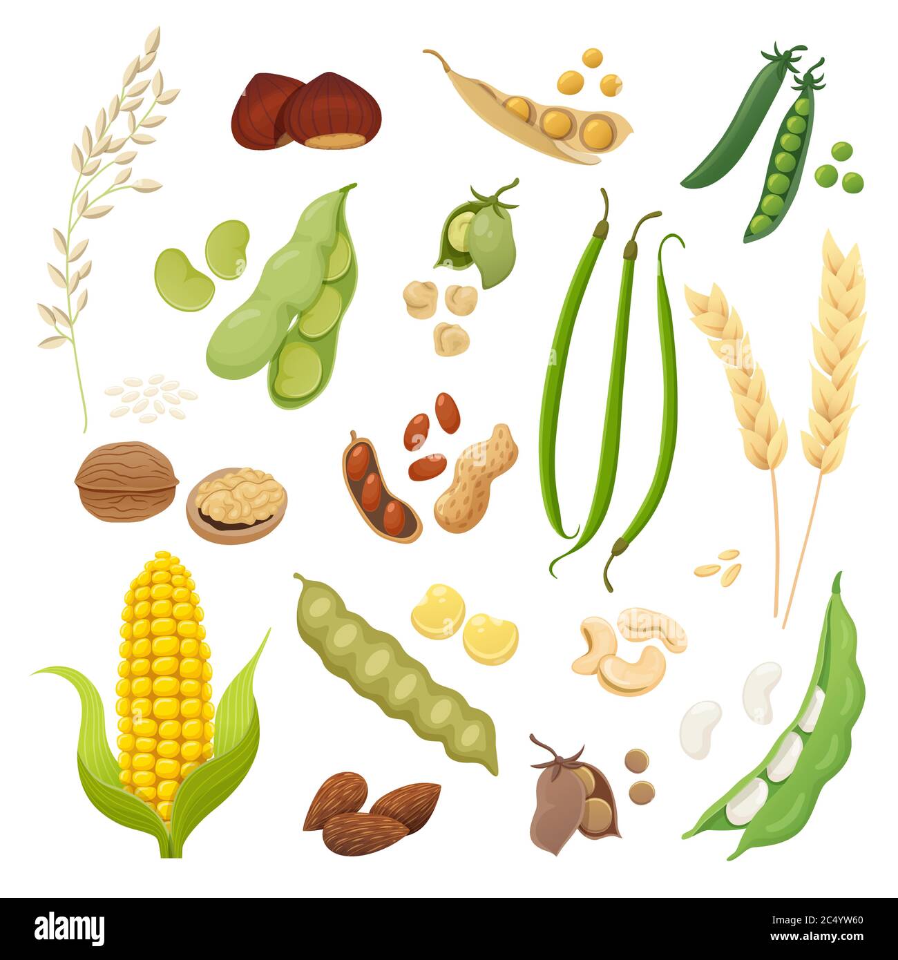 Cute and tasty legumes, grains and nuts collection.  Healthy food ingredients. Vector illustration. Stock Vector