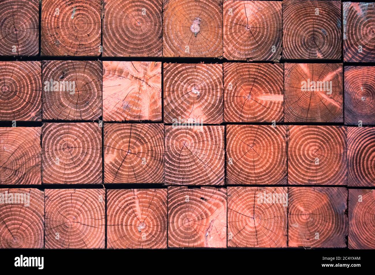 close up of end grain of heavy industrial square pressure treated