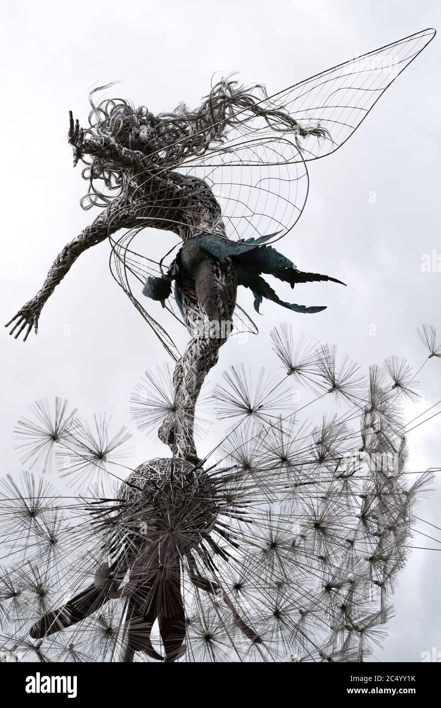 Wire Fairies And Dandelion Sculptures By Robin Wight Or Fantasy Wire Trentham Gardens Stoke On