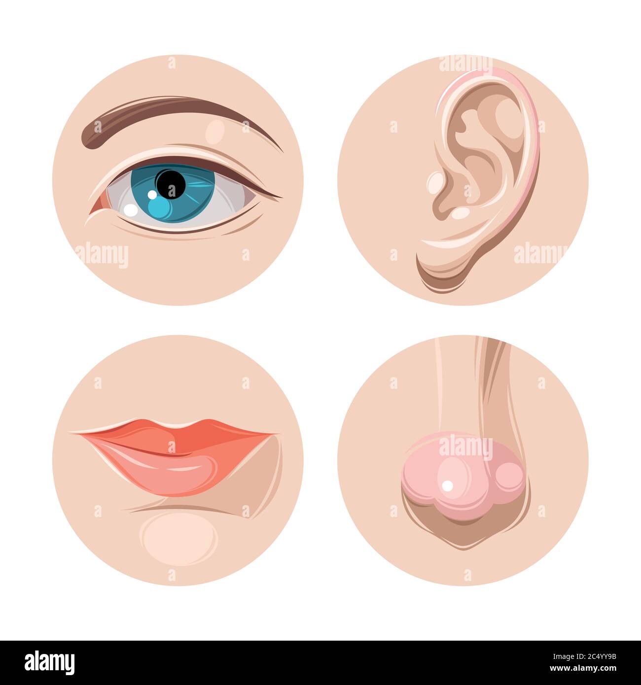 Eye, ear, mouth and nose Stock Vector Image & Art Alamy