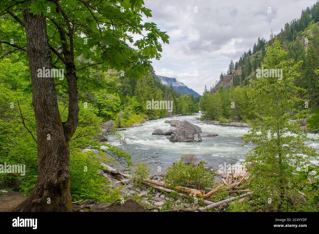 View of the Wenatchee River from the Old Pipeline Bed Trail near Leavenworth in eastern Washington State, USA. Stock Photo