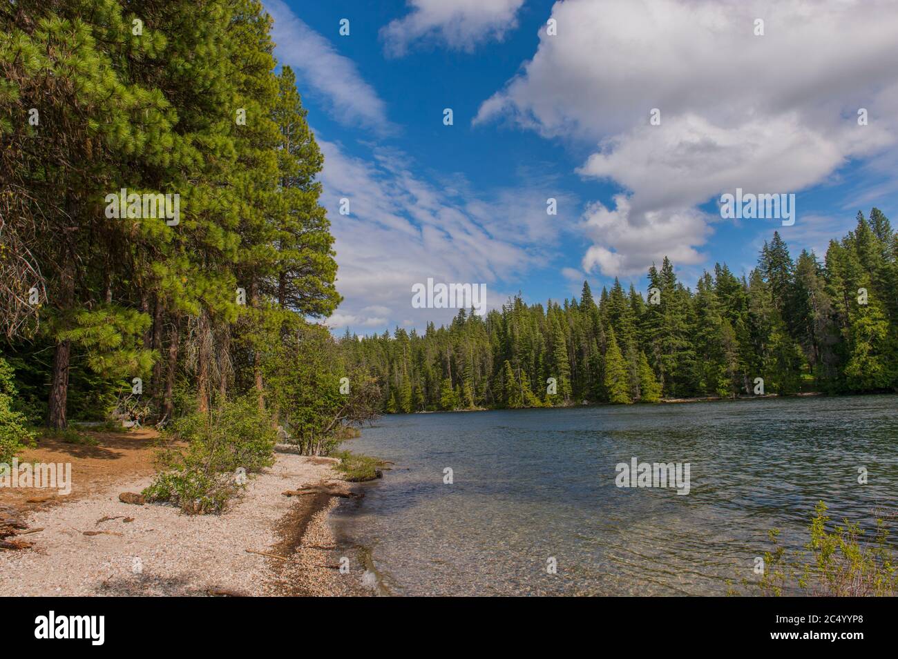 View of Lake Wenatchee from Lake Wenatchee State Park in eastern Washington  State, USA Stock Photo - Alamy, image size:1300x955