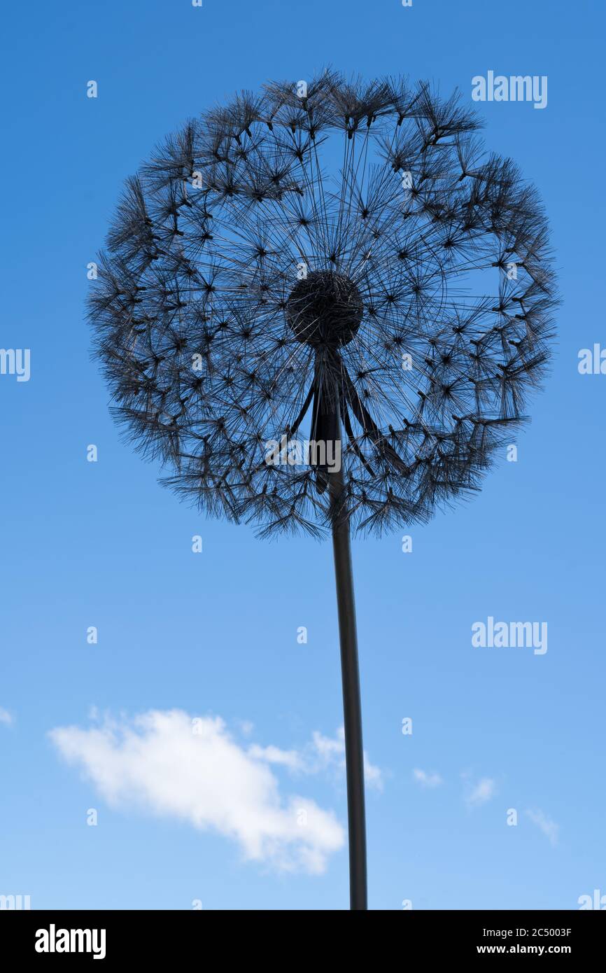 Wire dandelion sculpture by Robin Wight or Fantasy Wire. Trentham Gardens, Stoke-on-Trent, Staffordshire, UK Stock Photo