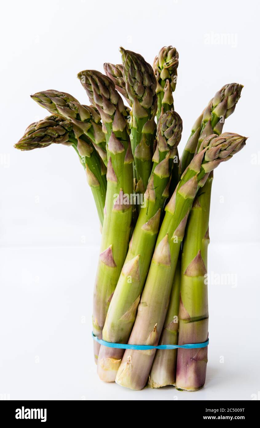 A bunch of fresh asparagus tied together with a rubber band isolated