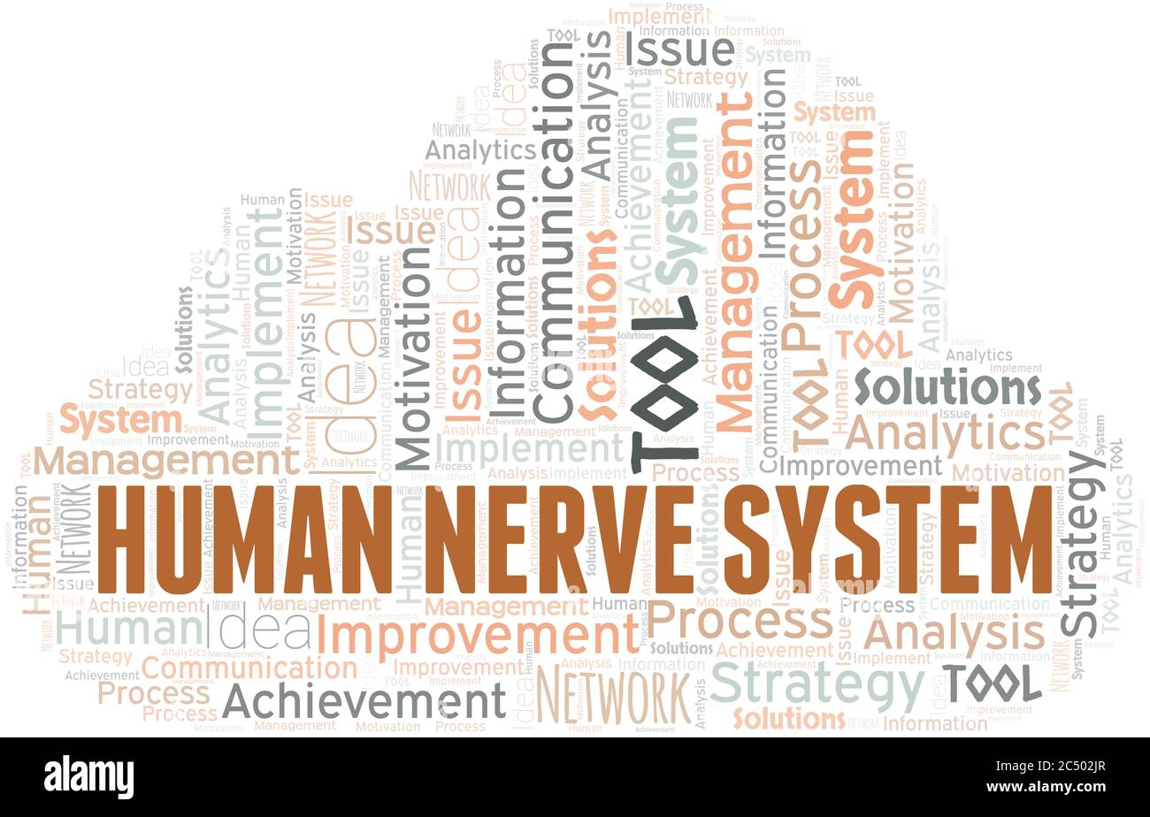 Human Nerve System typography vector word cloud. Wordcloud collage made ...