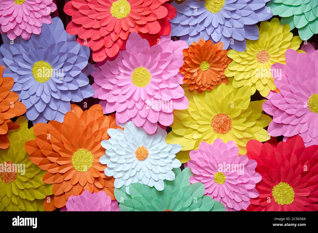 Paper flower. Glade of multicolored flowers. Red curtain background