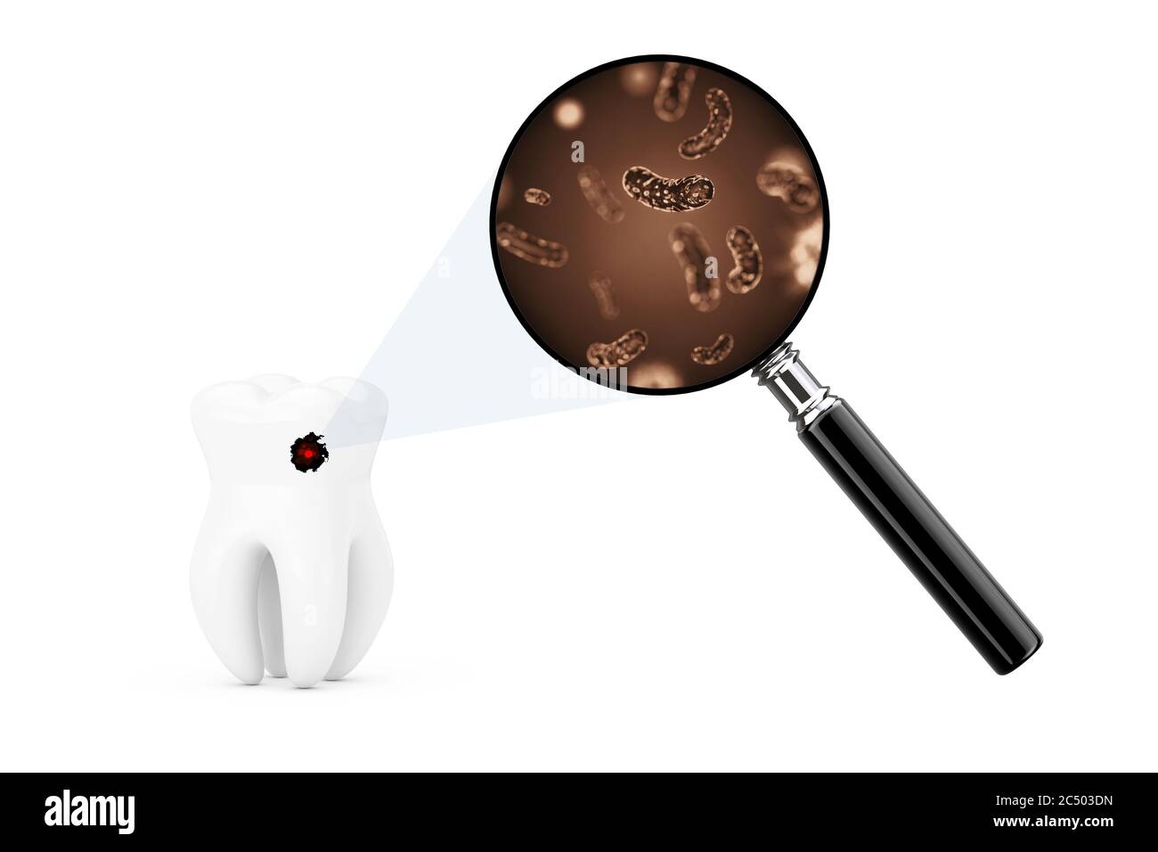 Bacterias and Viruses on a Tooth Seens Through Magnifying Glass on a ...