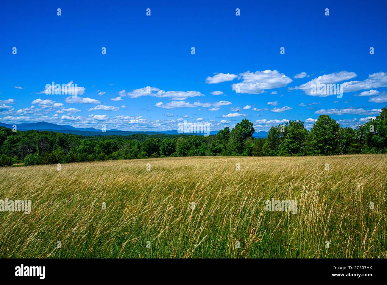 Grass fields in Shavangunk Ridge region; New York State, USA Stock Photo