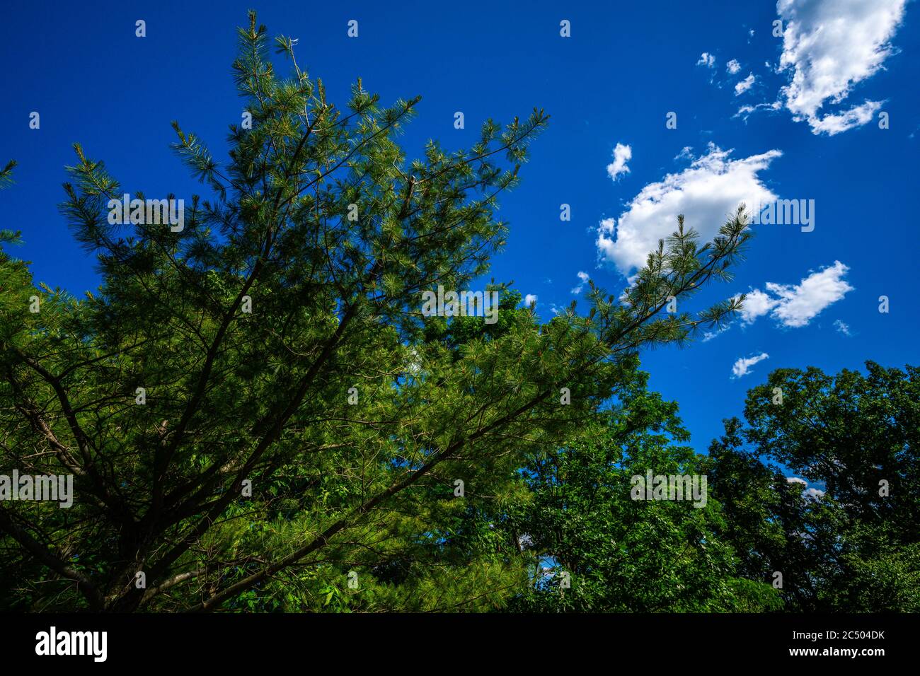 Mohonk Preserve, Gardiner, New York, USA Stock Photo Alamy