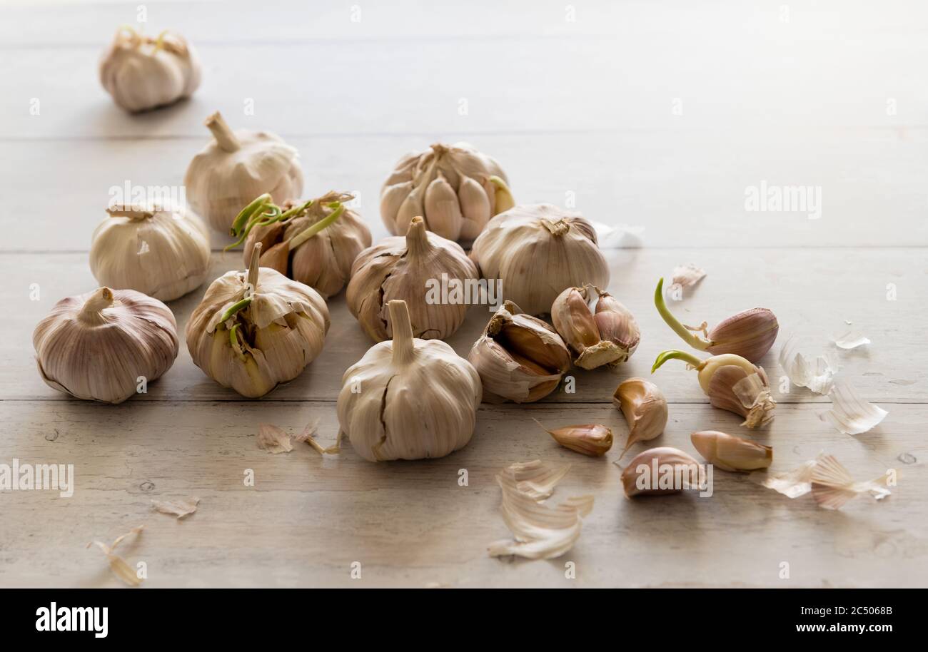 Garlic heads and cloves on a table Stock Photo Alamy