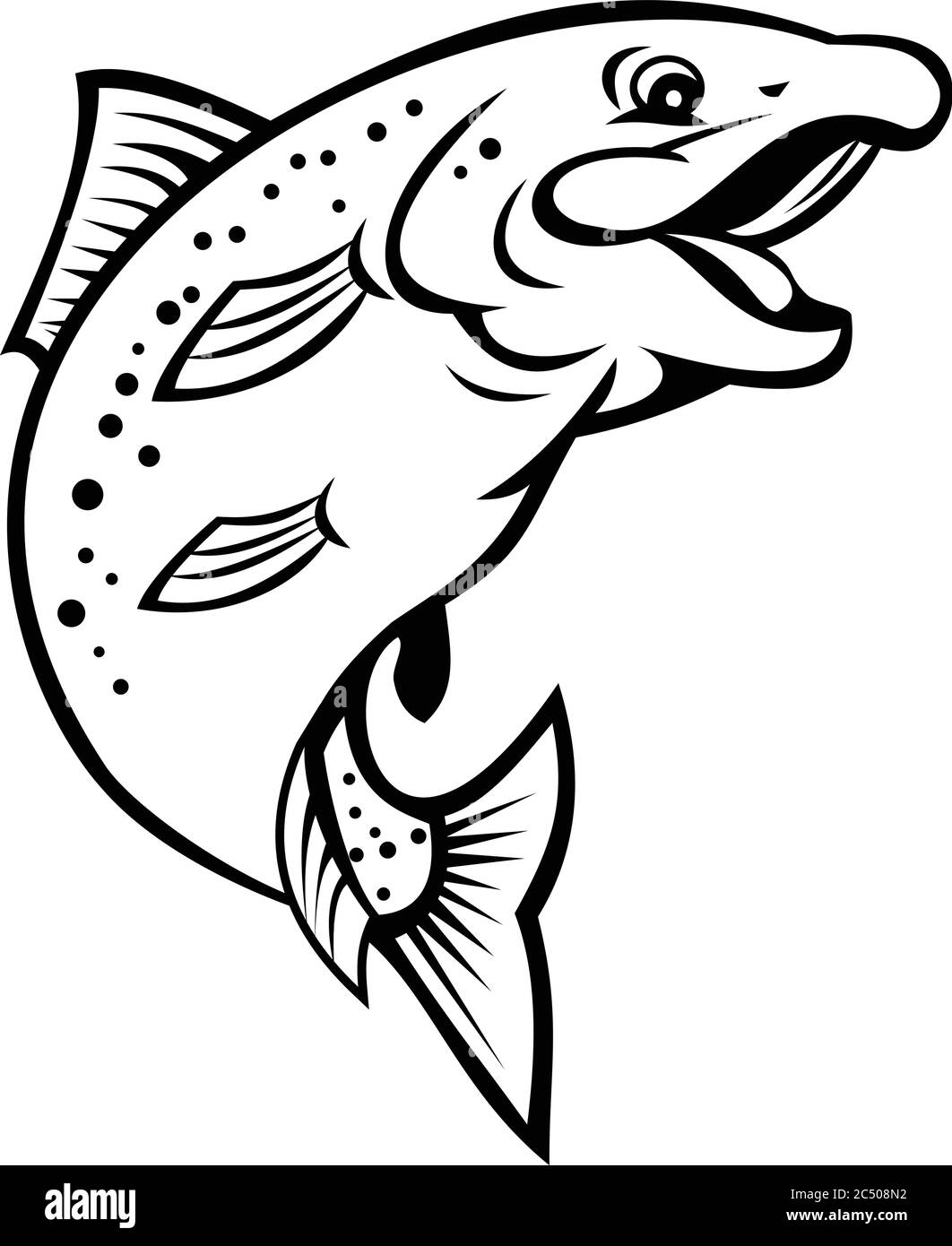 Trout Clip Art Black And White