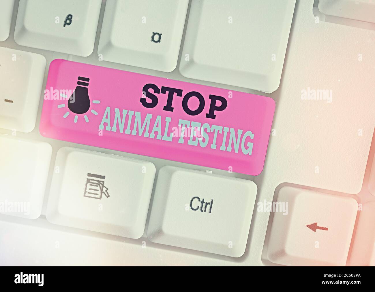 Conceptual hand writing showing Stop Animal Testing. Concept meaning