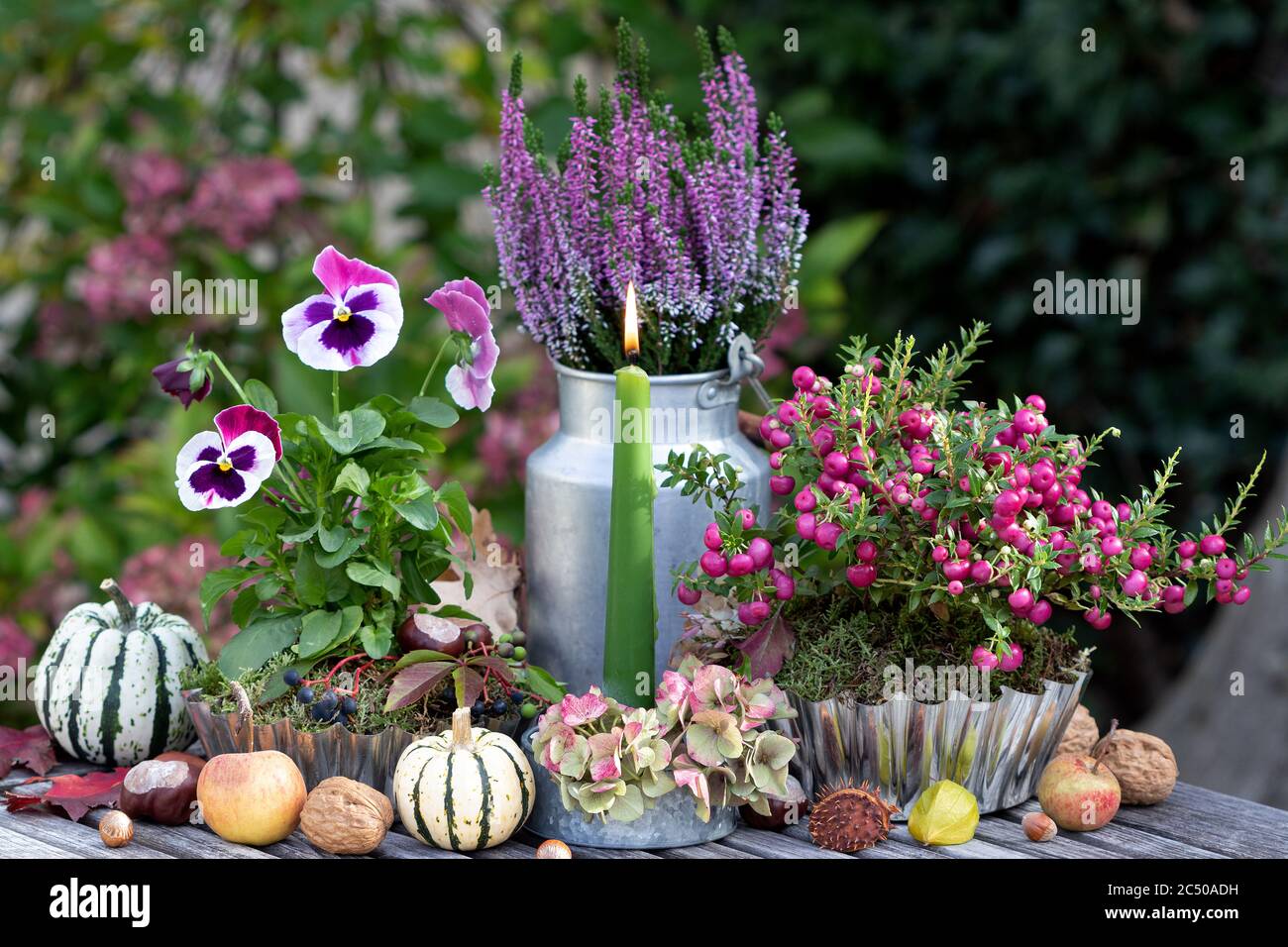 autumn garden decoration with candle, pumpkins and flowers Stock Photo