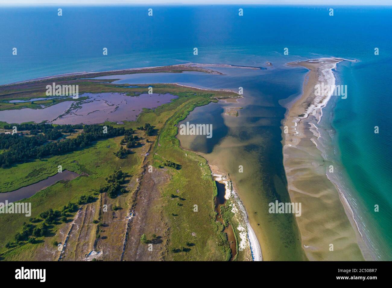 Baltic sea, Germany, Mecklenburg-Western Pomerania, Darß, Prerow, aeriel view of seaside Stock Photo