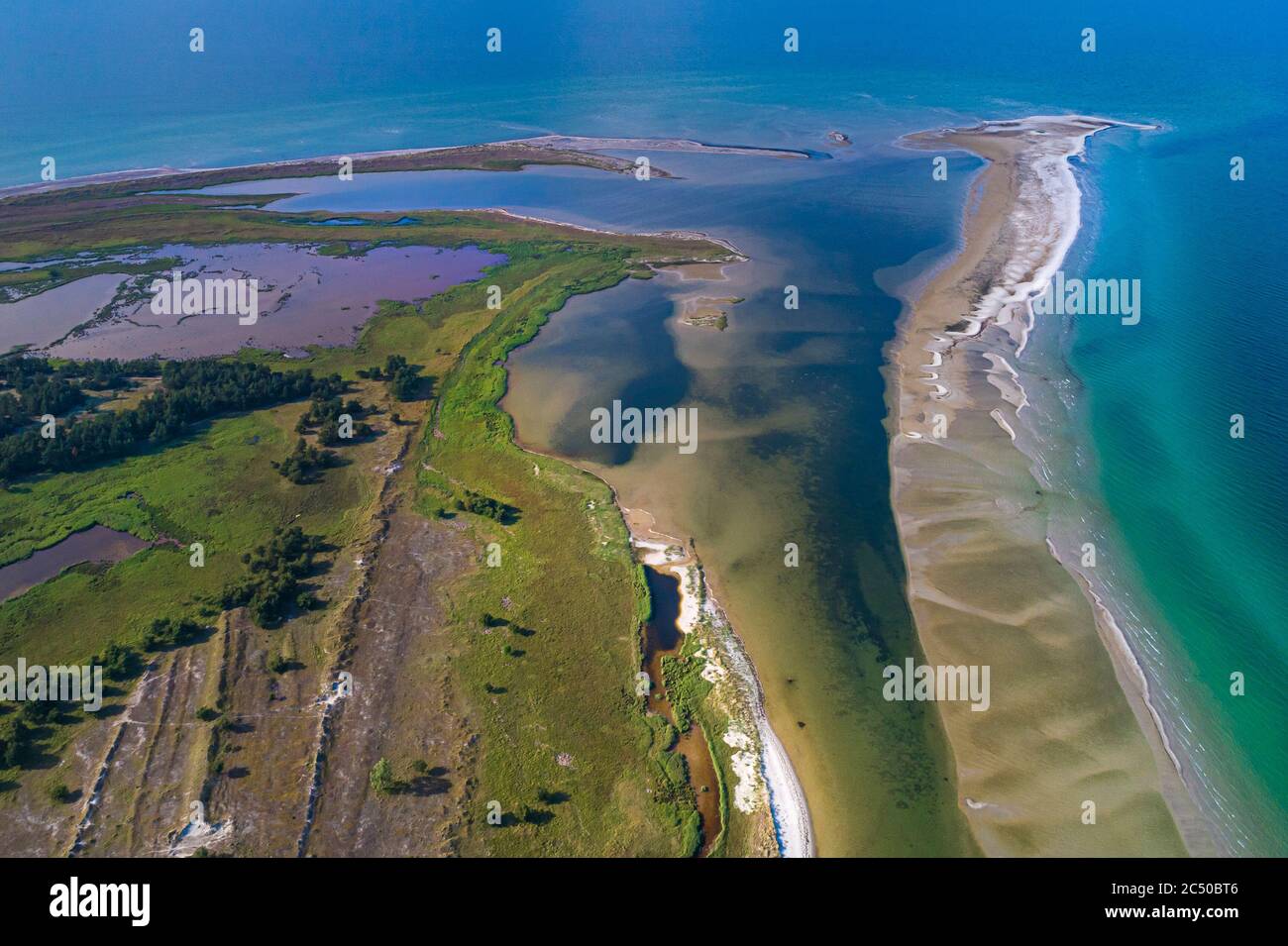 Baltic sea, Germany, Mecklenburg-Western Pomerania, Darß, Prerow, aeriel view of seaside Stock Photo