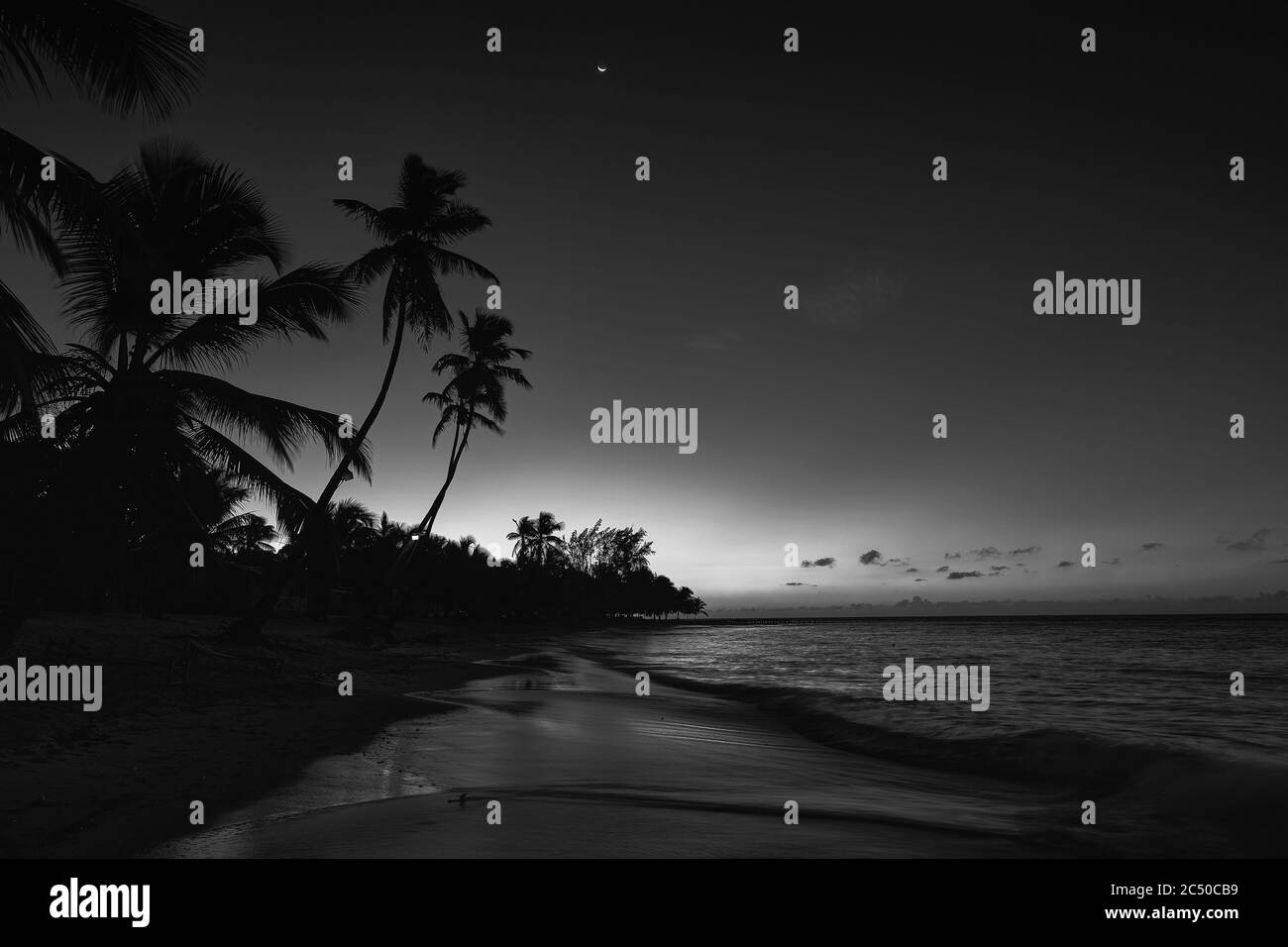 Panorama tropical beach Black and White Stock Photos & Images - Alamy