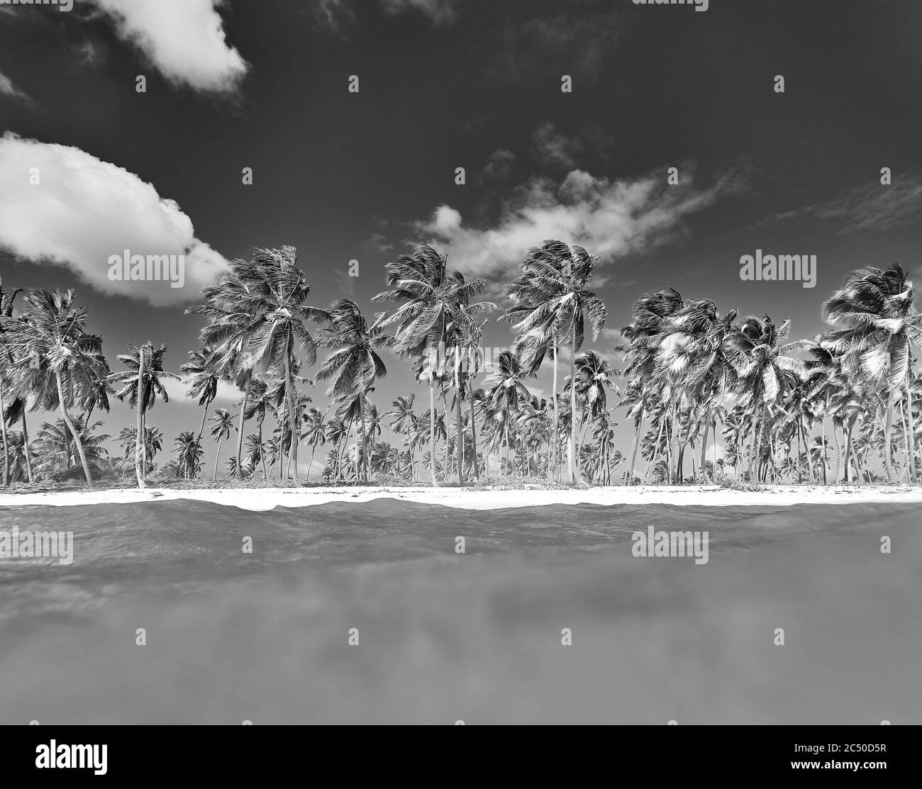 Shore tropical island view from Black and White Stock Photos & Images ...