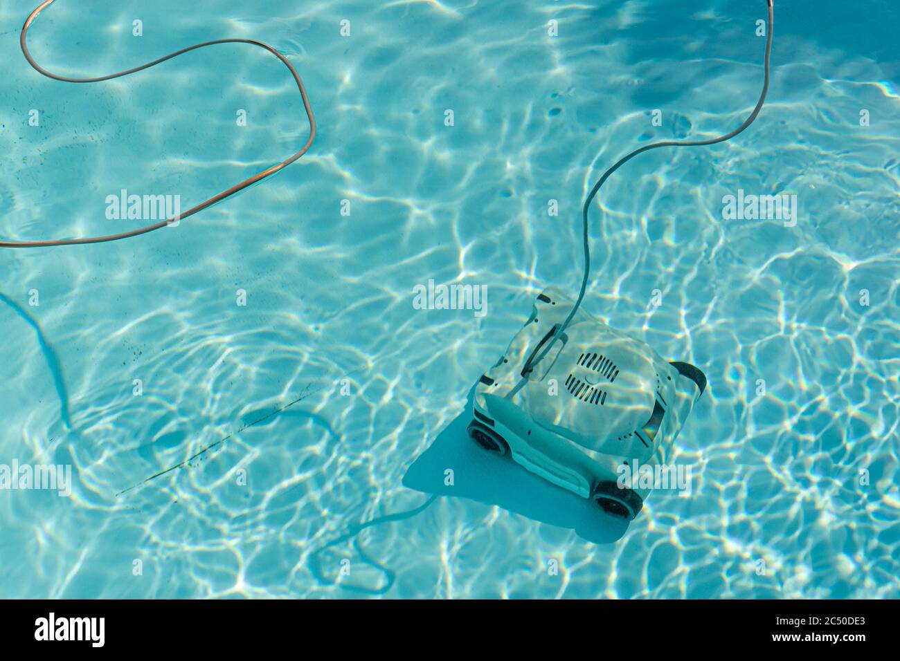 Automatic robotic pool vacuum cleaner under water cleaning the floor. Stock Photo