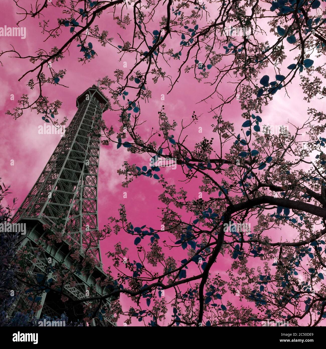 Pink Eiffel Tower High Resolution Stock Photography and Images - Alamy