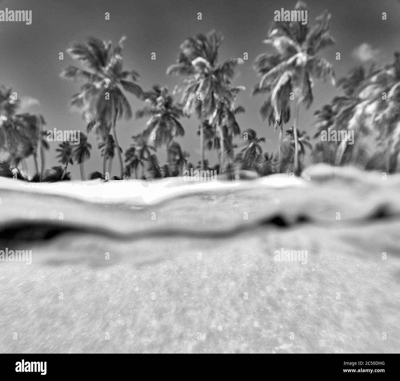 Shore tropical island view from Black and White Stock Photos & Images ...