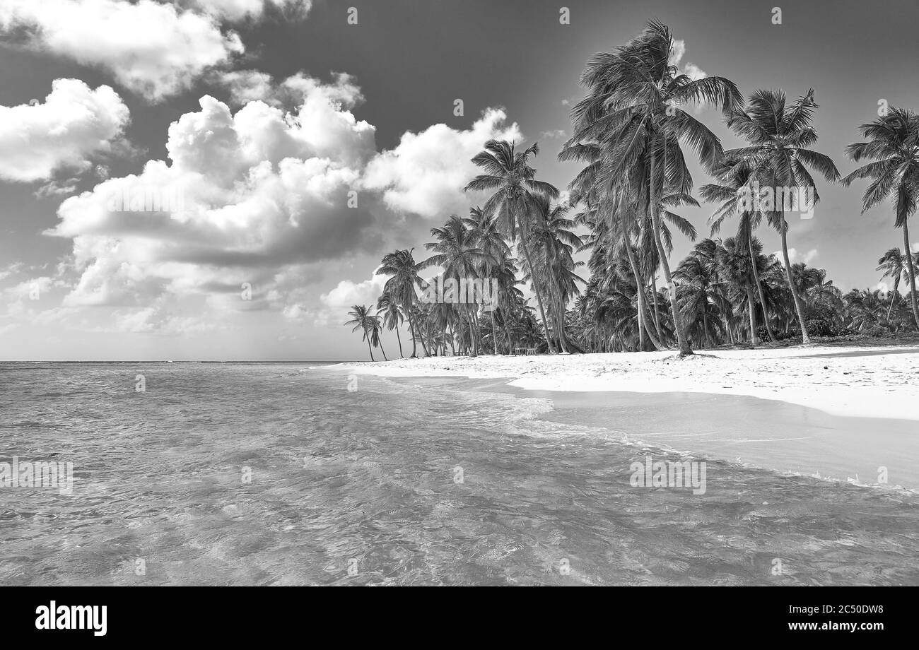 Tropical island. Desert island. Pure white sand. View of the beach from the water Stock Photo