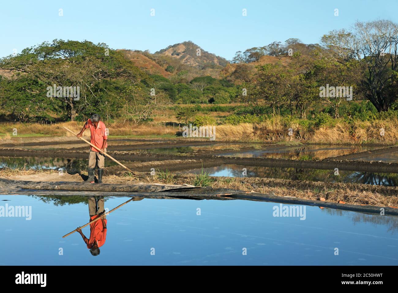 worker at a saline, Costa Rica Stock Photo