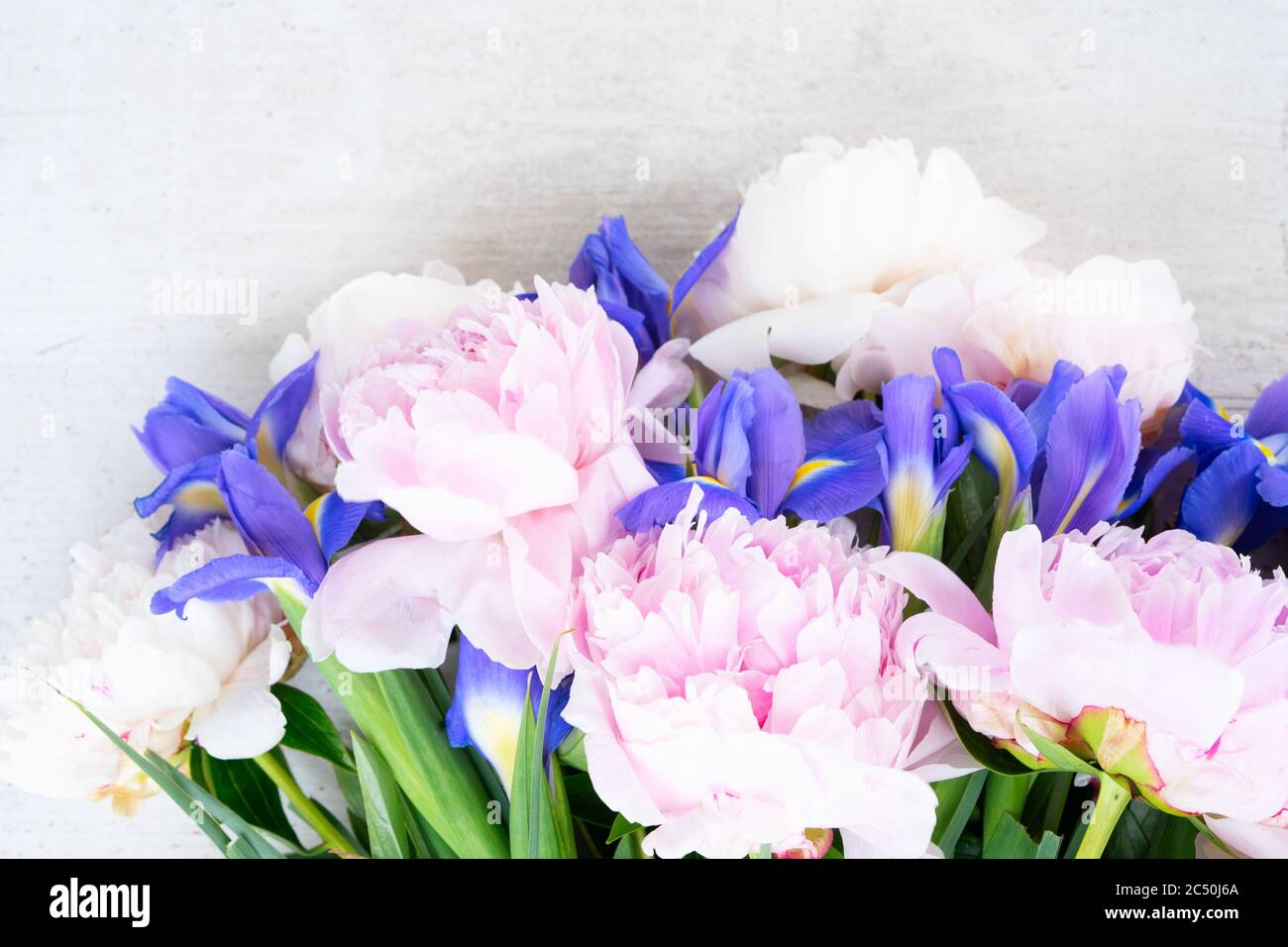 Fresh peony flowers Stock Photo Alamy